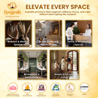 Sattva Series Combo Pack