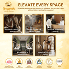 Nakshatra Series Combo Pack